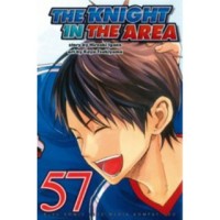 Image of The knight in the arena